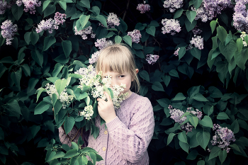 &nbsp; / ***