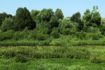 село Дунилово (Ивановская область) / ***