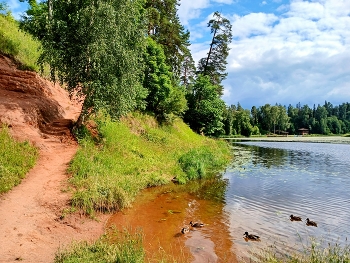 Девонский красный песчаник, Оредеж / ***