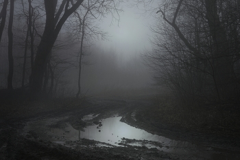 Туманное утро / Зима