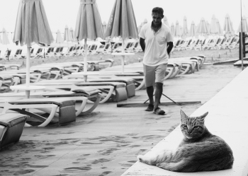 Пляж / ***