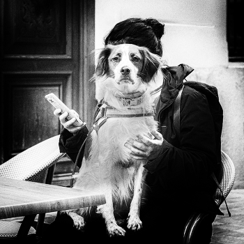 Парик / ***