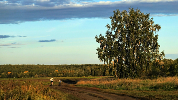 По осенним по дорожам / ***