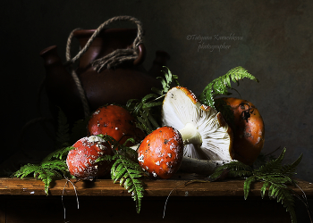 Подарок / Натюрморт с мухоморами