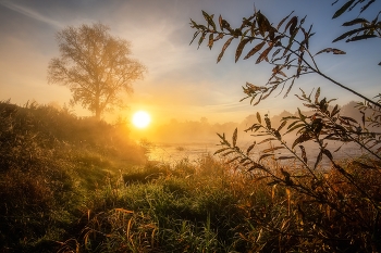 Утро / р. Луга