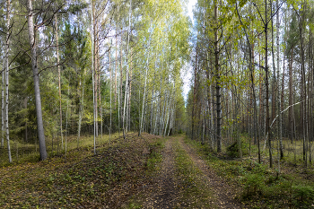 Сентябрь / ***
