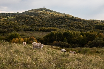 Осенняя пастораль / ***