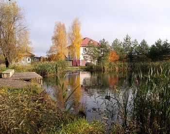 Осень, октябрь... / ***