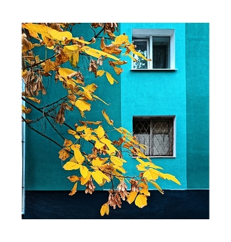Бирюзовые глаза / ***
