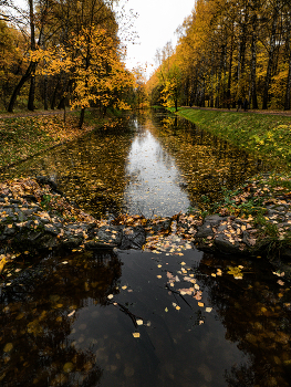 Осенний листопад. / ***