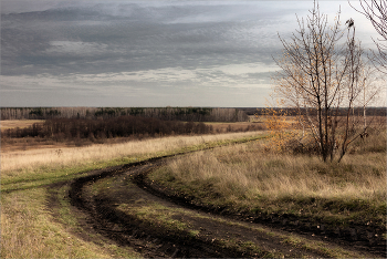 Поздняя осень. / Осенний пейзаж.