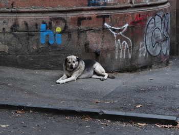 hi / ***