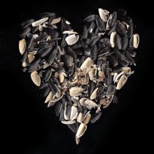 Любовь это не семечки. / Часто слышу, что любовь переходит в привычку и что примерно из этого (шелухи) состоит наша любовь. Из кучи пережитых чувств, от которых в душе осталась только шелуха, но не сами чувства. Любовь это мгновение, это эйфория. А потом остается только вспоминать как было хорошо. И часто в попытках удержать неудержимое, т.е. безразличие и равнодушие мы копаемся в этой куче шелухи пытаясь найти ещё целые, неиспытанные чувства. Как будто они могут спасти.
Но все же я верю в вечную Любовь, что бы не говорили.)