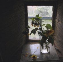 Окно / Старый дом