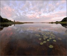 Облака    запутались в кувшинках / 10.07.09 был яркий рассвет цвета вишни.  Однако  мне удалось схватить лишь следующую фазу-утро (5.38).  Утро на озере,в котором  среди кувшинок  &quot;плавали&quot; облака.