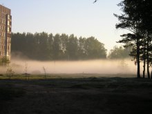 Туман на рассвете / Туман на рассвете в Боровухе