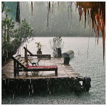 Настроение тропического дождя.. / река Квай

.......F11.....