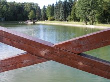 стоп / ботанический сад