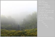 Опять туман... / Были некоторые сомнения, выставлять ли работу в тАком виде...
...
И... это действительно панорама...
Вертикальная, три горизонтальных кадра...