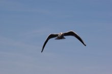 Летные испытания. Транспортник &quot;Руслан&quot; / *****