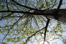 б\н / мои работы