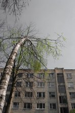 б\н / мои работы