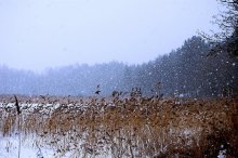 SNOW FLAKES / BY beautiful winter