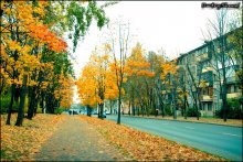 Осень / ул.Макаёнка