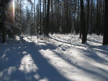 Зима / Фотка сделана на берегу Лепельского озера зимой 2007 года.