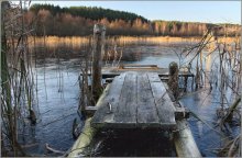 первый день перволедья / На старицах рек и неглубоких озерах стал первый лед - прозрачный и хрупкий. Для ноября в нашей местности - редкое явление. Снято из положения лежа :)
