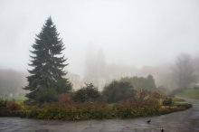 Краков / Вавель;
в тумане виднеется собор Св. Станислава и Вацлава