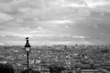 Крыши Парижа / Paris 2009
