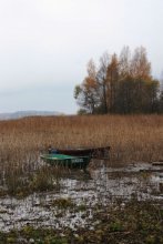 позабытое / ---------------------->
