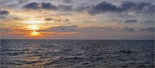 Морская рыбалка / Чёрное море
