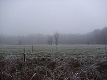 Туман в декабре / На поляне у местного парка.