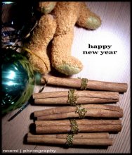 happy new year / .....