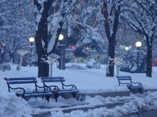 Праздник к нам приходит... / Сумерки, получилось не резко.. Это зима в Сербии, в городе Заечаре. Уже 3 дня такая красота.