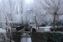 зимнее! / ---------------------&gt;