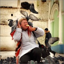 The birds / &quot;В Сергиевом Посаде участились случаи нападения голодных птиц на состоятельных паломниц...&quot; 
Из милицейских хроник