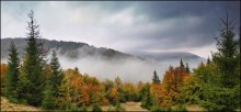Осень над Облаками / Карпаты, пос. Пилипец

без сжатия - http://_anri_dp_.users.photofile.ru/photo/_anri_dp_/150188263/157525404.jpg