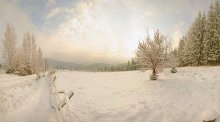 Рождественское утреннее Карпатское / Сказочная погодка, утреннее солнце, окутанное густым туманом или облаками. Не знаю облака или туман, но высота метров 400 точно. Пока поднимались, на разной высоте своя погода.