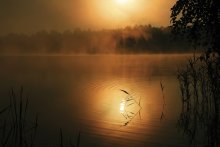 Раннеутренняя / на одном из озер на Мядельщине....