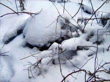 Зима / Январский снег