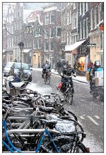 Снег в Европе / Эта зима - самая снежная и суровая для многих стран Европы. Снег, внезапно обрушившийся на Голландию и ее столицу в тот январский день явился неожиданностью для многих. Видимо, особенно непривычно пришлось велосипедистам...