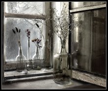 Сухоцветы на окне / ..._______