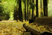 осень / осень, пустые аллеи парка, тусклое солнце и куча шуршащих листьев под ногами..