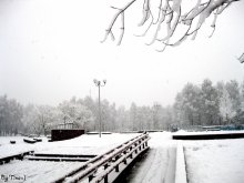 Заснеженный парк / парк. зима. снег.