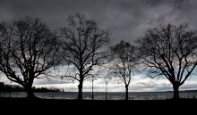 Cмутный Боденский шторм. / Bregenz. Bodensee.