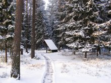 Зимняя сказка / Как красиво в Нарочанском лесу зимой!
