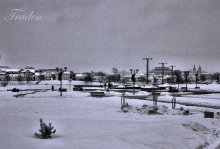 Серая жизнь / Фото сделано в один из скучных зимних дней